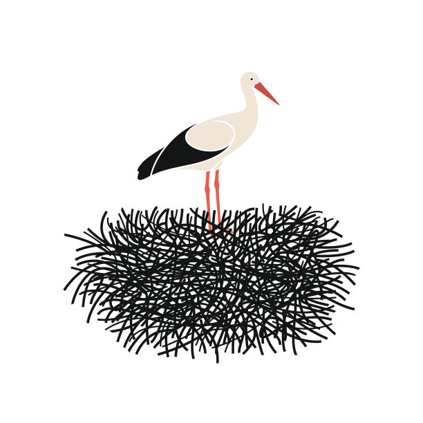 鹳。孤立的白鹳背景图片下载