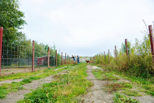 夫妇户外在美国西部农村农民广告农场农业牲畜和人照片系列图片下载
