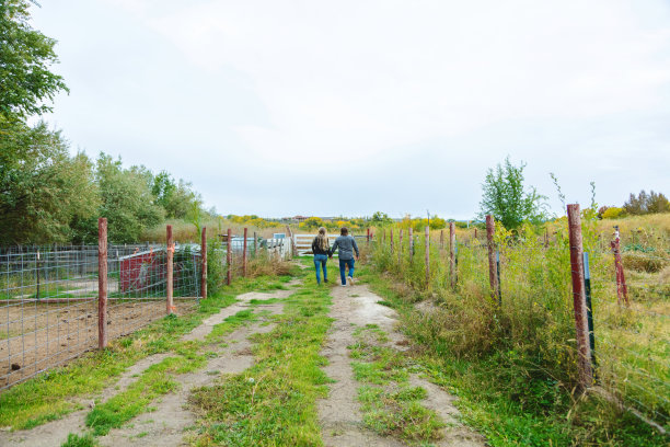 夫妇户外在美国西部农村农民广告农场农业牲畜和人照片系列图片下载