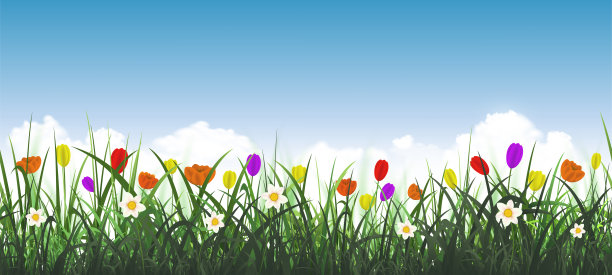 盛开的草地上有绿色的草和花图片下载