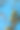 美洲柏属樟科。图片下载