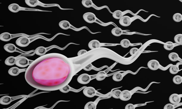 精子细胞移动分离背景。三维渲染图图片下载