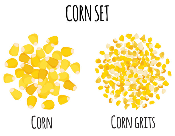 含谷物和粗玉米粉的玉米组合图片下载