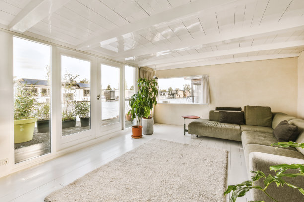 有沙发和地毯的客厅图片下载