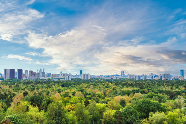 莫斯科的天际线和秋天的公园。图片下载