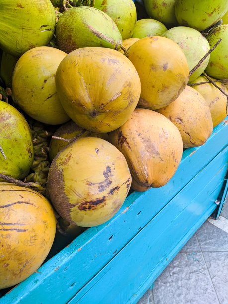 小椰子堆在蓝色的木头上出售。这通常是拿水喝图片下载