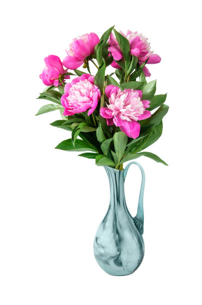 白色背景下，灰色玻璃酒壶中散发出粉色牡丹的芬芳。图片下载
