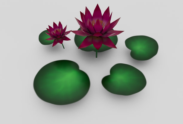 白色背景上的莲花植物3d插图最小渲染。图片下载