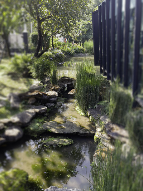 家庭花园的热带景观图片下载