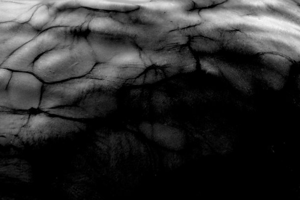 黑白技术照片的水面运动的波浪与反射和阴影在黑暗中的风。风格的古董。图片下载