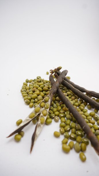 白色背景上的绿豆种子。图片下载