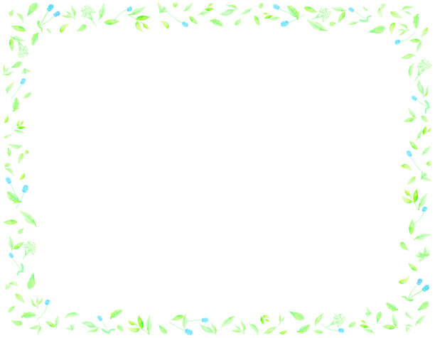 清新的蓝色野花和清新的绿色。图片下载