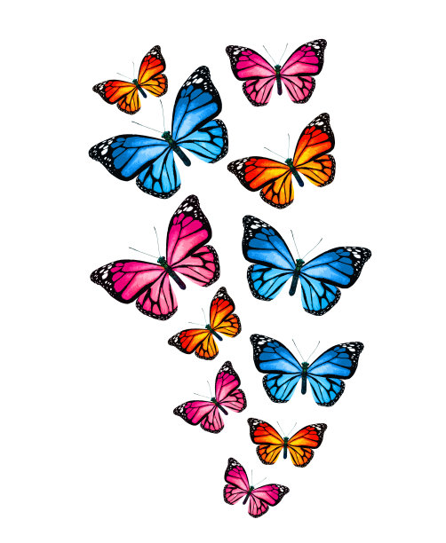 成群的彩色帝王蝶，孤立在白色上图片下载
