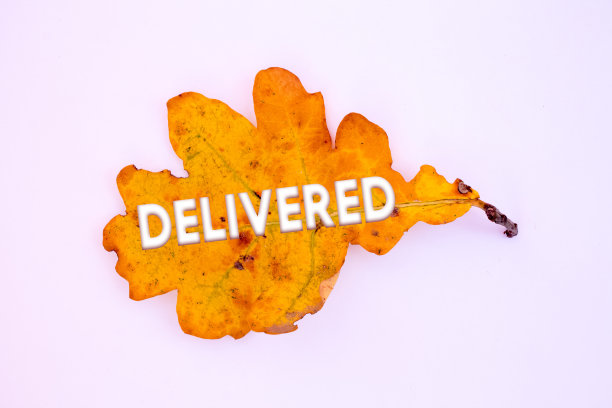 秋日落叶，物语交加。图案自然，色彩设计。图片下载