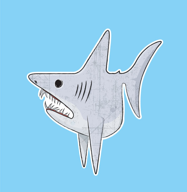 鲭鲨在蓝色图片下载