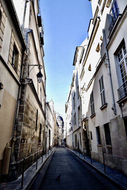 巴黎的街头图片下载