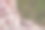 特写镜头的裙子与模式移动的风图片下载