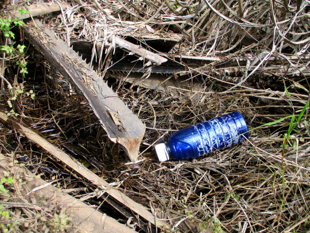 在棕榈树区有瓶子垃圾图片下载