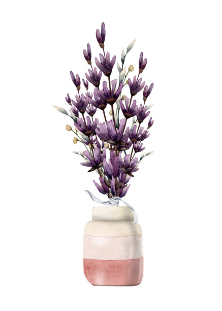 粉色花瓶中的紫色薰衣草花束手绘水彩插画，白色背景图片下载