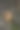 松鼠正在树上吃坚果。图片下载