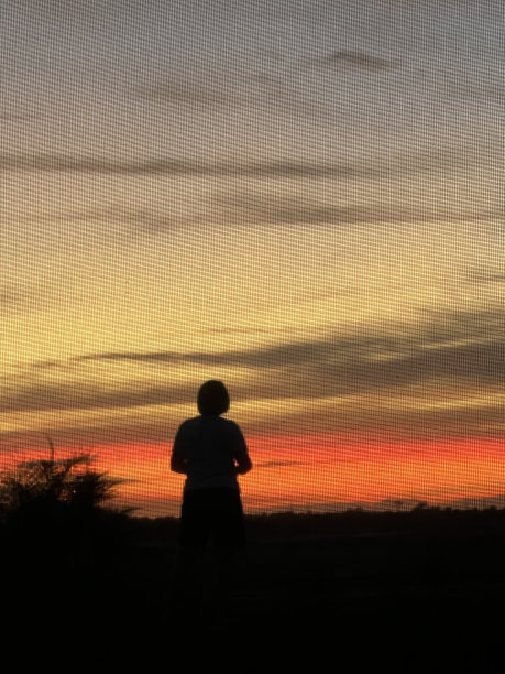 看日落图片下载