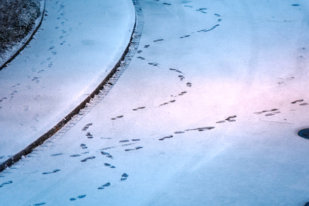 Beautiful idyllic scene with fresh tracks on snow covered road on a snowy winter day at City of Zürich.图片下载
