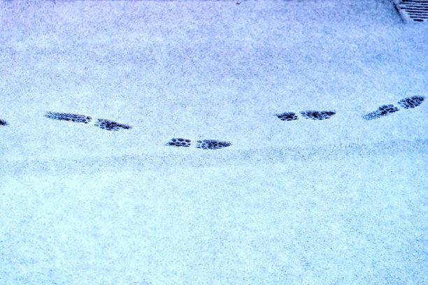 Beautiful idyllic scene with fresh tracks on snow covered road on a snowy winter day at City of Zürich.图片下载