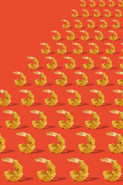 煎虾饼为图案。虾的海报。图片下载