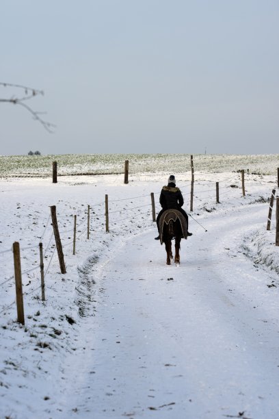 雪地里的女骑士图片下载