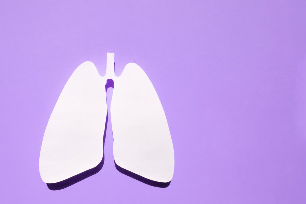 在紫色背景上解剖肺的纸剪影。健康呼吸的概念。平铺，文字空间。图片下载
