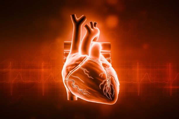 人类心脏3D渲染插图与复制空间和红色背景。心血管系统、解剖学、医疗保健、生物学、医学、科学概念。图片下载