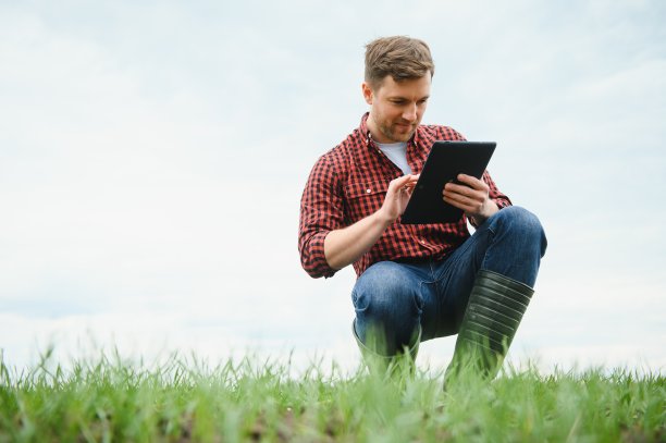一位年轻的农民在田里检查麦芽的质量。农业的概念图片下载