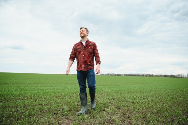 一位年轻的农民在田里检查麦芽的质量。农业的概念图片下载