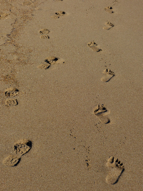 的足迹图片下载