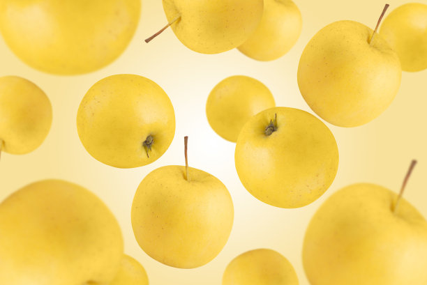 金黄色成熟的苹果悬浮在黄色背景上。图片下载