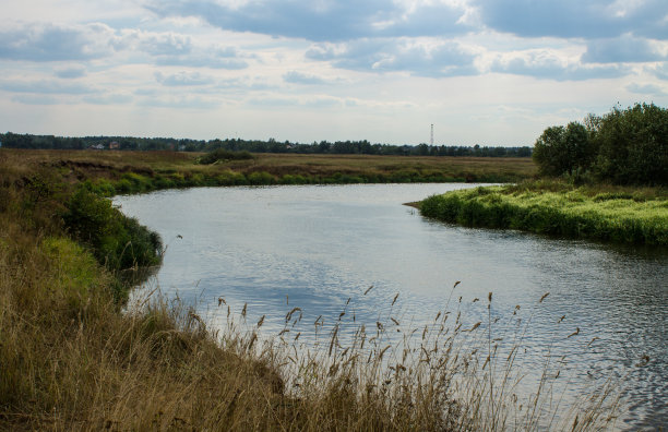 美丽的Klyazma河的拐弯处，草地上有草，树木郁郁葱葱图片下载