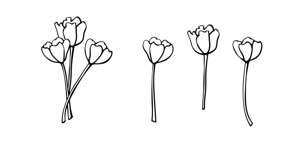 一套三个轮廓郁金香花茎无叶。简单的黑色轮廓剪贴艺术，涂鸦素描风格的设计元素。象征着春天、爱情、开花图片下载