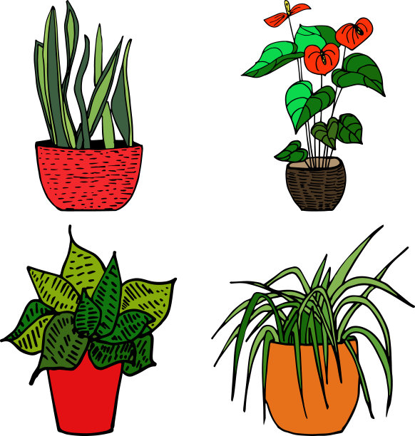 花盆向量花园春天设置盛开的室内植物，开花树，绿叶，幼苗。图片下载