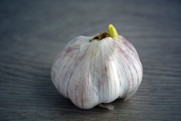 深色背景上的大蒜(Allium sativum)的特写照片。图片下载