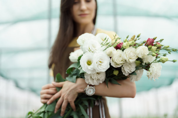 新鲜美丽的花束在妇女手中图片下载