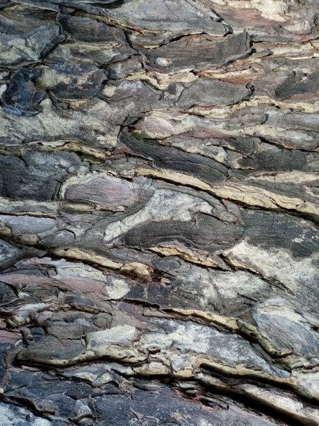 木图案背景图像-库存照片
树皮，裂缝，断裂，一段时间，
垂直木纹照片，垂直壁纸，木材色调图片下载