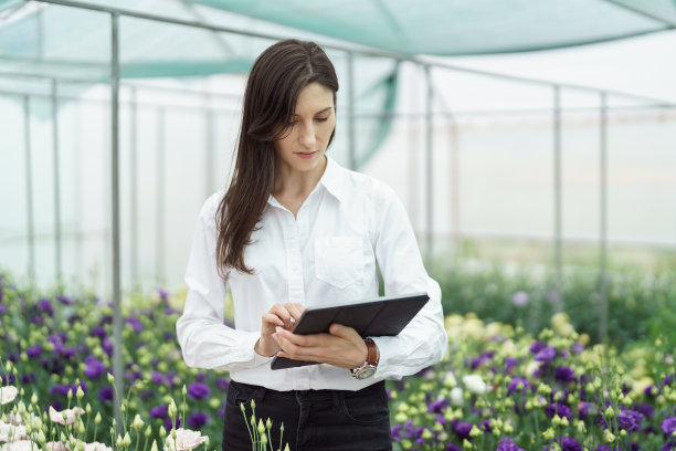 送鲜花，女人们在平板电脑上点菜。图片下载