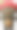 卡通可爱的黑熊戴着帽子图片下载