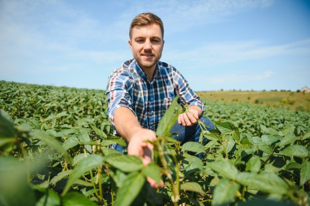 年轻的农民在大豆地里图片下载