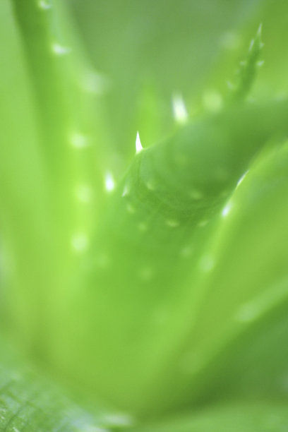 我明白你的意思图片下载