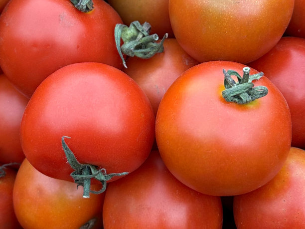 新鲜农产品市场成堆的红色西红柿(茄)的全帧图像，高视图图片下载