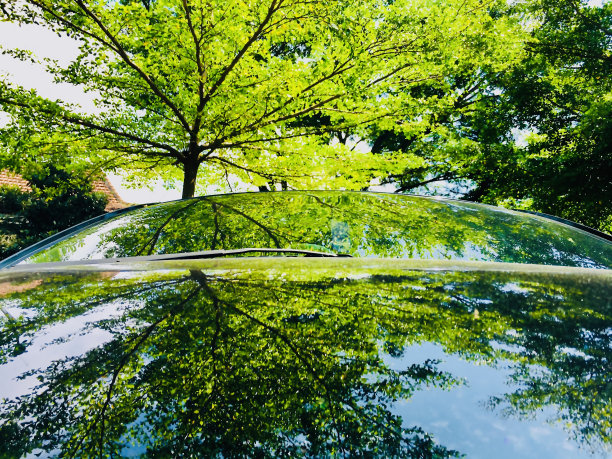 树木倒映在汽车上图片下载