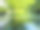 树木倒映在汽车上图片下载