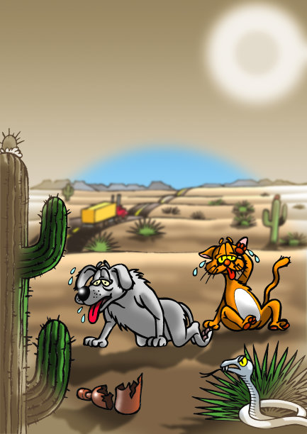沙漠里的狗和猫图片下载