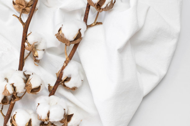 美丽的棉枝和白色的天然棉织物在白色的背景。精致的白色棉花。浅色棉质背景。生态纺织品顶视图复制空间。面料生产图片下载